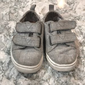 Toddler boy Toms